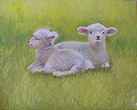 2 Lambs