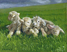 4 Lambs