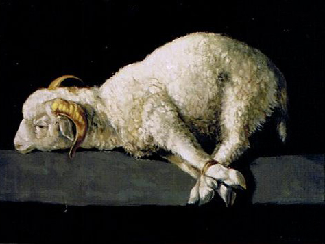 The Bound Lamb after Zurbaran